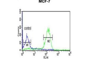 Fllow cytometric analysis of MCF-7 cells using LUC7L2 Antibody (C-term) Cat. (LUC7L2 antibody  (C-Term))