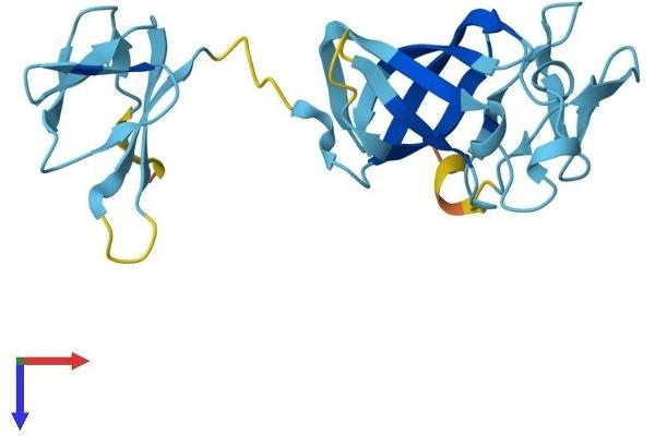 EXOSC1 Protein (AA 1-195) (His tag)