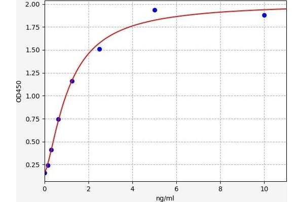 STXBP1 ELISA Kit