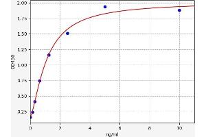 Typical standard curve (STXBP1 ELISA Kit)