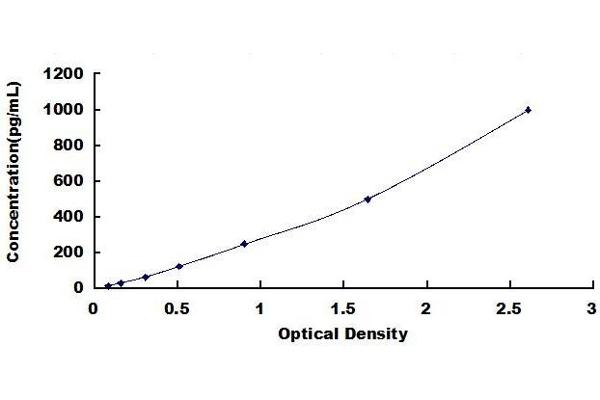 NEFL ELISA Kit