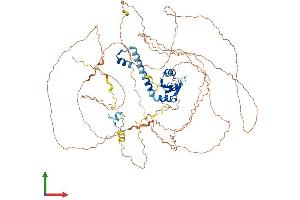 AlphaFold protein structure predicition of Human Recombinant R3HCC1L Protein, UniprotID Q7Z5L2 (GIDRP88 Protein (AA 1-792) (His tag))