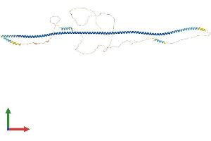 Protein Structure (PS) image for Taxilin beta (TXLNB) (AA 1-684) protein (His tag) (ABIN7544910)