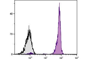 Chicken peripheral blood lymphocytes were stained with Mouse Anti-Chicken CD45-FITC. (CD45 antibody  (FITC))