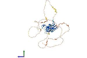 AlphaFold protein structure predicition of Human Recombinant TBX21 Protein, UniprotID Q9UL17 (T-Bet Protein (AA 1-535) (His tag))