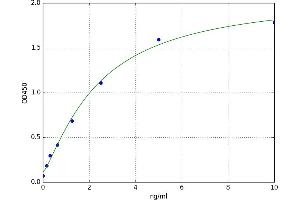 BCL2 Binding Component 3 (BBC3) ELISA Kit