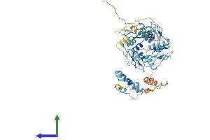 AlphaFold protein structure predicition of Human Recombinant ZNF626 Protein, UniprotID Q68DY1