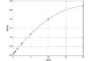 Prolyl 4-Hydroxylase, beta Polypeptide (P4HB) ELISA Kit