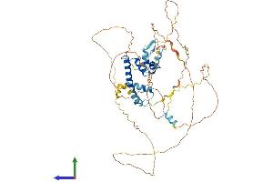 Protein Structure (PS) image for Centromere Protein T (CENPT) (AA 1-515) protein (His tag) (ABIN7563669)