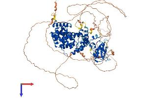 AlphaFold protein structure predicition of Human Recombinant SH2D3C Protein, UniprotID Q8N5H7 (SH2D3C Protein (AA 1-860) (His tag))