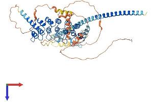 AlphaFold protein structure predicition of Human Recombinant POTED Protein, UniprotID Q86YR6 (POTED Protein (AA 1-584) (His tag))