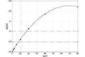 ELISA image for Ectonucleotide Pyrophosphatase / phosphodiesterase 2 (ENPP2) ELISA Kit (ABIN5521961)