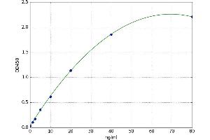 A typical standard curve (ENPP2 ELISA Kit)