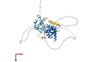 AlphaFold protein structure predicition of Human Recombinant MAGEB6 Protein, UniprotID Q8N7X4 (MAGEB6 Protein (AA 1-407) (His tag))
