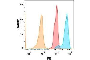 5T4 protein is highly expressed on the surface of Expi293 cell membrane. (TPBG antibody  (AA 32-355))
