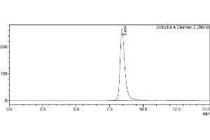 Assessment of protein purity for human Fc gamma RIIIb / CD16b (NA1) protein by SEC-HPLC. (FCGR3B Protein (AA 17-200) (His-Avi Tag,Biotin))
