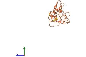 AlphaFold protein structure predicition of Human Recombinant KRTAP4-4 Protein, UniprotID Q9BYR3 (KRTAP4-4 Protein (AA 1-166) (His tag))