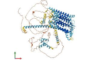 AlphaFold protein structure predicition of Mouse Recombinant Tmc5 Protein, UniprotID Q32NZ6 (Tmc5 Protein (AA 1-967) (His tag))
