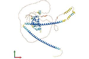 Protein Structure (PS) image for Centrosomal Protein 72kDa (CEP72) (AA 1-646) protein (His tag) (ABIN7564981)