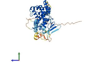 Protein Structure (PS) image for Nuclear Receptor Subfamily 1, Group I, Member 2 (NR1I2) (AA 1-431) protein (His tag) (ABIN7562442)