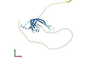 AlphaFold protein structure predicition of Mouse Recombinant Gtf3c6 Protein, UniprotID Q9D8P7 (GTF3C6 Protein (AA 1-227) (His tag))