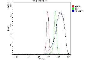 Flow Cytometry analysis of PC-3 cells using anti-SERINC5 antibody (ABIN7602218).