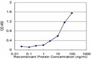 Detection limit for recombinant GST tagged FAAH is approximately 0. (FAAH antibody  (AA 480-579))