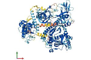 AlphaFold protein structure predicition of Mouse Recombinant Dis3l Protein, UniprotID Q8C0S1