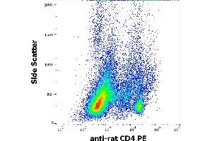 Flow cytometry surface staining pattern of rat splenocyte suspension stained using anti-rat CD4 (OX-35) PE antibody (concentration in sample 5 μg/mL). (CD4 antibody  (PE))