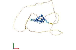 AlphaFold protein structure predicition of Mouse Recombinant Crx Protein, UniprotID O54751 (CRX Protein (AA 1-299) (His tag))