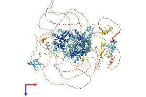 AlphaFold protein structure predicition of Mouse Recombinant Ercc6l2 Protein, UniprotID Q9JIM3 (ERCC6L2 Protein (AA 1-1537) (His tag))