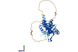 Protein Structure (PS) image for Nonhomologous End-Joining Factor 1 (NHEJ1) (AA 1-299) protein (His tag) (ABIN7549855)