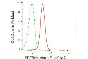 anti-PDZ Domain Containing Ring Finger 4 (PDZRN4) antibody