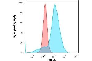 Flow Cytometric Analysis of U87MG cells using CD163 Mouse Monoclonal Antibody (M130/3296) followed by goat anti-Mouse IgG-CF488 (Blue); Isotype Control (Red). (CD68 antibody)