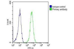 Overlay histogram showing Jurkat cells stained with (ABIN1882239 and ABIN2843357)(green line). (ERK1/2 antibody)