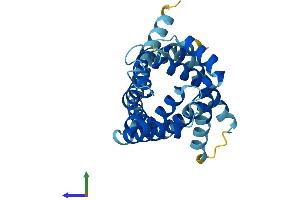 AlphaFold protein structure predicition of Mouse Recombinant Slc25a26 Protein, UniprotID Q5U680 (SLC25A26 Protein (AA 1-274) (His tag))