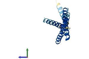 AlphaFold protein structure predicition of Mouse Recombinant Tmem170b Protein, UniprotID P86050 (TMEM170B Protein (AA 1-132) (His tag))