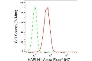 Flow cytometric analysis of HAPLN1 expression in C2C12 cells using HAPLN1 antibody (ABIN7799008), 1:2,000). (Recombinant HAPLN1 antibody)