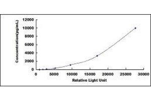 Coagulation Factor II (thrombin) Receptor-Like 1 (F2RL1) CLIA Kit