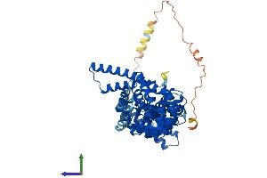 Protein Structure (PS) image for Catenin, beta Like 1 (CTNNBL1) (AA 1-563) protein (His tag) (ABIN7546845)