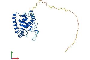 AlphaFold protein structure predicition of Human Recombinant UBE2R2 Protein, UniprotID Q712K3 (UBE2R2 Protein (AA 1-238) (His tag))