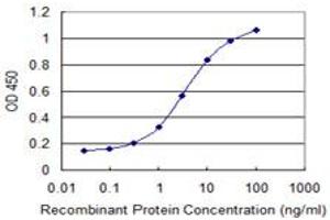 Detection limit for recombinant GST tagged SLC44A2 is 0. (SLC44A2 antibody  (AA 123-230))