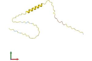 Protein Structure (PS) image for Protamine 3 (PRM3) (AA 1-101) protein (His tag) (ABIN7557760)