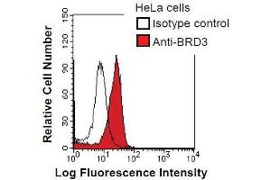 HeLa cells were fixed in 2% paraformaldehyde/PBS and then permeabilized in 90% methanol. (BRD3 antibody)