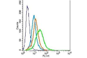 H9C2 cells probed with Rabbit Anti-Activin A Receptor Type IC Polyclonal Antibody, Unconjugated  at 1:100 for 30 minutes followed by incubation with a conjugated secondary -FITC) (green) for 30 minutes compared to control cells (blue), secondary only (light blue) and isotype control (orange). (ACVR1C/ALK7 antibody  (AA 21-120))