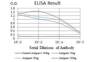 ELISA image for anti-Sequestosome 1 (SQSTM1) (AA 232-356) antibody (ABIN1724836)
