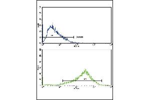 Flow cytometric analysis of HepG2 cells using A2 Antibody (Center)(bottom histogram) compared to a negative control cell (top histogram). (AP2A2 antibody  (AA 610-637))