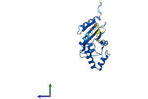 Protein Structure (PS) image for Ubiquitin-Conjugating Enzyme E2H (UBE2H) (AA 1-183) protein (His tag) (ABIN7544863)