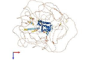 AlphaFold protein structure predicition of Human Recombinant RUSC2 Protein, UniprotID Q8N2Y8 (RUSC2 Protein (AA 1-1516) (His tag))