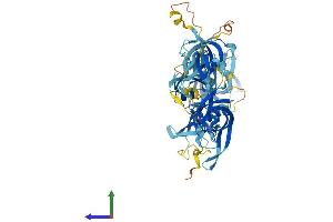 AlphaFold protein structure predicition of Mouse Recombinant Themis3 Protein, UniprotID Q9CU24 (THEMIS3 Protein (AA 1-569) (His tag))